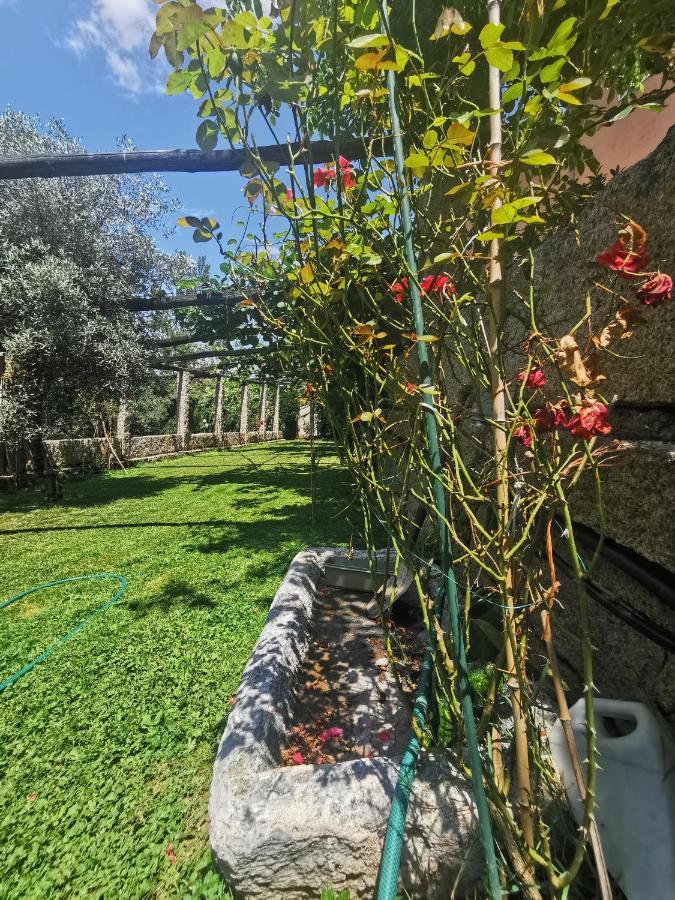 Exclusiva Casa Rural Mariano Con Acceso Directo Al Rio バラージャ エクステリア 写真