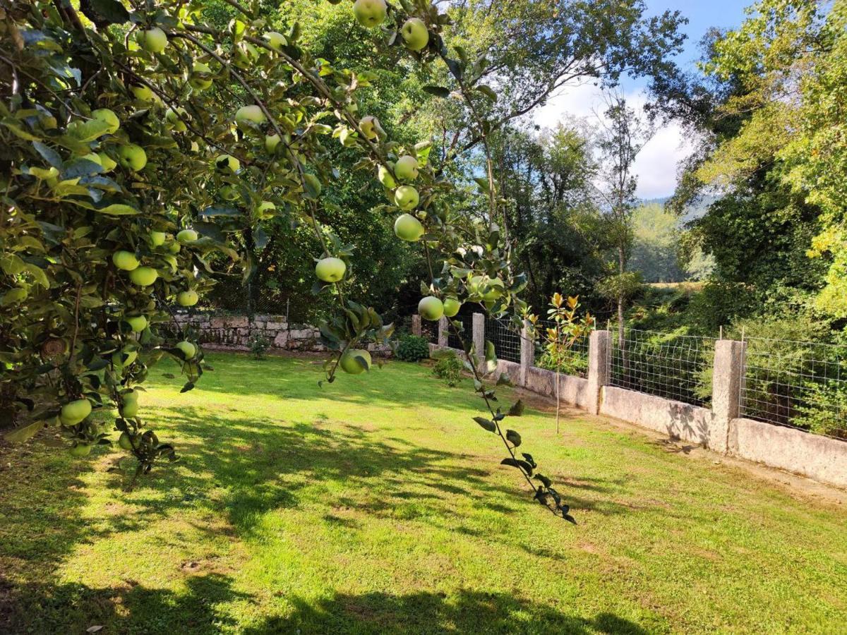 Exclusiva Casa Rural Mariano Con Acceso Directo Al Rio バラージャ エクステリア 写真