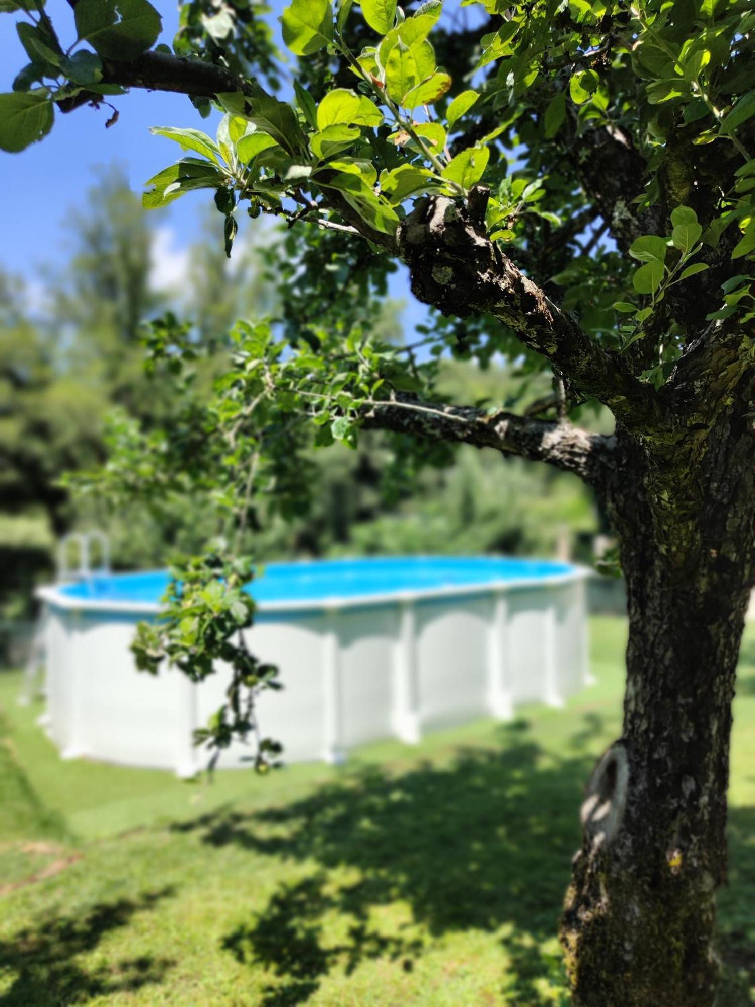 Exclusiva Casa Rural Mariano Con Acceso Directo Al Rio バラージャ エクステリア 写真